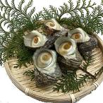 . Sazae средний размер 1kg(10 шт ~12 шт )