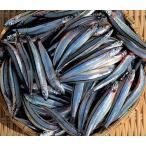 キビナゴのバラ凍結品　2kg☆☆ 冷凍