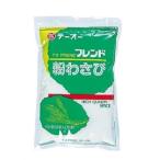 te-o- friend мука васаби 1kg