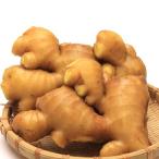  Kochi префектура производство желтый золотой сырой .500g прямая поставка от производителя 