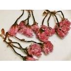  акционерное общество Sakae S Sakura. цветок .(. гора ) (30g)