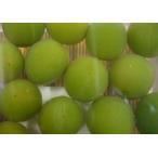 .. слива * синий слива мягкость .50 шарик ввод 