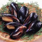 . имеется Boyle двустворчатая ракушка 500g (25~35 штук ) 12617