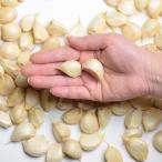  чеснок роза Aomori 500g маленький * средний шарик примерно 100 шарик производство человек прямая поставка чеснок роза гурман в соответствии SHOP Цу легкий чеснок 