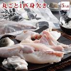  Awaji Island 3 год ..... мужчина вода производство 3 год .... круг ..1 шт . нет .( изначальный рыба 1.3kg: значительно стал ) примерно 4 порции 