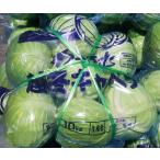  капуста Hokkaido производство 10kg и больше ( 3 шар ~12 шар ввод ). зима .... снег no внизу мир холод .. гурман овощи 