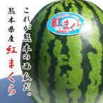 .... примерно 5 kilo ~ 2 шар ввод Kumamoto производство большой шар ...