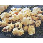 [ быстрое решение ] сырой еда возможно цубугаи 1kg M 40-60 шарик ..tsubtsub.. sashimi Boyle Boyle tsub Boyle .. закуска .[ вода производство f-z]