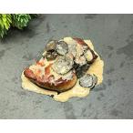  утка. фуа-гра 1 шт (40-50g) чёрный трюфель 3 шт Венгрия производство рефрижератор утка .. удача еда магазин 