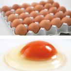 . курица место из прямая поставка [ предубеждение семья. предубеждение яйцо ]60 штук входит 