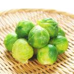 . капуста рефрижератор овощи 2kg (500g×4 пакет ) кулинария магазин тоже используется . для бизнеса капуста 