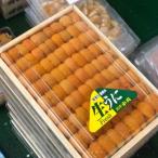  Special сверху морской еж средний . Hokkaido производство . средний производство ezo морской еж hemicentrotus 200-250g [ Special сверху . средний морской еж x1] рефрижератор 