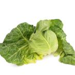 bejitabru Heart весна капуста низкий пестициды культивирование 4 шар Kanagawa производство 