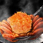  круг город холм рисовое поле магазин Hokkaido производство очень большой шерсть . Sapporo центр оптовый рынок четырёхугольный волосатый краб шерсть .. краб (800g×1 хвост )