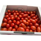  Toyohashi производство фрукты мини помидоры ..... Crea ( красный )1kg