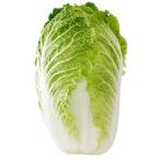 [ утро рынок прямой line ] Ibaraki префектура другой китайская капуста 1 шт примерно 1,700g~2kg[ рефрижератор ]