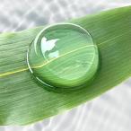 tanma вода ... моти . темная патока * Кинако продается отдельно 20 еда ввод японские сладости конфеты варабимоти желе вода manju шт упаковка обычная температура сохранение возможность 