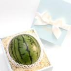 TOBIFRU маленький шар ...M-L размер 1 шар ввод арбуз запад . подарок на Bon Festival фрукты подарок брак рождение внутри праздник .. брак внутри праздник рождение внутри праздник поминальная служба закон необходимо .