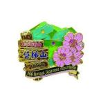 磐梯山ピンズ　ピンバッチ ピンバッジ　PINS 日本百名山シリーズ