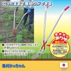 その他花、ガーデニング