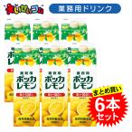 【ケース販売】ポッカサッポロ 1L 