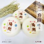  название inserting один . моти комплект [ круглый 3 шт ]*1 лет . день рождения (. праздник )* носить на спине моти * один сырой моти * имя inserting бесплатный * рис 