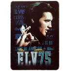 エルヴィス・プレスリー Elvis  Presley  歌手　アメリカ雑貨★レトロ調★アメリカンブリキ看板/飾り/バー/レストラン/カフェ 20x30cm