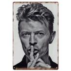 デヴィッド・ボウイ David Bowie　歌手　シンガーソングライター　アメリカ雑貨★レトロ調★ブリキ看板/飾り/バー/レストラン/カフェ 20x30cm