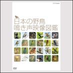 日本の野鳥　鳴き声映像図鑑 DVD