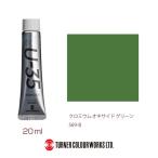ターナー　Ｃｈｒｏｍｉｕｍ　Ｏｘｉｄｅ　Ｇｒｅｅｎ　ＵＡ０２０５６９【返品・交換・キャンセル不可】【イージャパンモール】