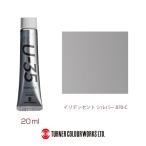 ターナー　Ｉｒｉｄｅｓｃｅｎｔ　Ｓｉｌｖｅｒ　ＵＡ０２０８７０【返品・交換・キャンセル不可】【イージャパンモール】