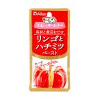 ★まとめ買い★　ハウス　カレーパートナー　リンゴとハチミツペースト　40ｇ　×10個【イージャパンモール】