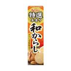 ★まとめ買い★　ハウス 特選本香り和からし　 ４２ｇ　×10個【イージャパンモール】