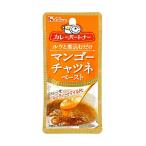 ★まとめ買い★　ハウス　カレーパートナー　(マンゴーチャツネペースト)　40ｇ　×10個【イージャパンモール】