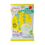 ★まとめ買い★　今岡製菓　ソルティ柚子ネード　12g×3P　×40個【イージャパンモール】