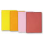 薄型１０ポケットファイル　ライトグリーン【返品・交換・キャンセル不可】【イージャパンモール】