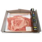 ������̵���۾�������������ơ������ˤ�ˤ����������åȡ��ңӣԣΣӣ���−�������ͣ��ڥ��եȴۡ�