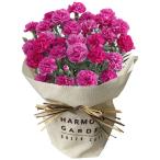 【送料無料】【母の日】母の日　カーネーション・シャボンローズ　５号【ギフト館】