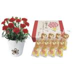 【送料無料】【母の日】母の日　カーネーション＆京のミニブーケスイーツセット　ＫＡＳ−０１【ギフト館】