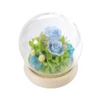 【送料無料】【母の日】母の日　スフィアドームアレンジメント／ブルー　Ｂ１１８５０【ギフト館】