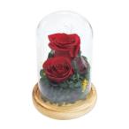 【送料無料】【母の日】母の日　ガラスドームアレンジメントコンパシオン／レッド　Ｂ１２５１０【ギフト館】