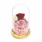 【送料無料】【母の日】母の日　ガラスドームコンパシオン／ＭＩＸレッド　Ｂ１２５１９【ギフト館】