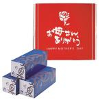 【送料無料】【母の日】山陰大松　（母の日限定包装）氷温熟成　煮魚・焼魚詰合せ１０切　ＨＮＡ−１００【ギフト館】