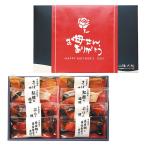 【送料無料】【母の日】山陰大松　（母の日限定包装）氷温熟成煮魚焼魚ギフトセット８切　ＨＮＹＧ−４０【ギフト館】