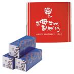 【送料無料】【母の日】山陰大松　（母の日限定包装）氷温熟成　煮魚・焼魚詰合せ１２切　ＨＯＳ−１２０【ギフト館】