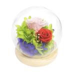 【送料無料】【母の日】母の日　プリザーブドフラワー　スフィアドーム／ＭＩＸレッド　Ｂ１１８１９【ギフト館】