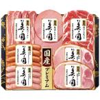 【送料無料】国産プレミアム　美ノ国　ＵＫＩ−４８　ＵＫＩ−４８【ギフト館】