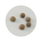 ２７３９　野菜の種オクラ