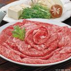 ������̵���ۺ���������Ƥ��ڥ��եȴۡ�