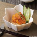 ������̵���۲�����ͻԾ졡�Ӿ�Ź�����ˤν��������Ҥ��ڥ��եȴۡ�